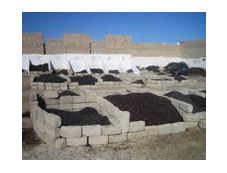 Les huiles d'olive Les huiles d'olive